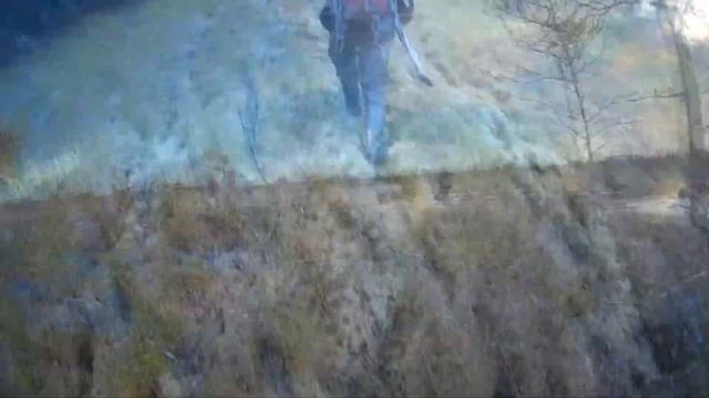 первая охота на болотах смотреть онлайн