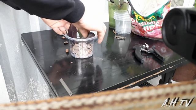 How to clone orchids with keiki paste смотреть онлайн