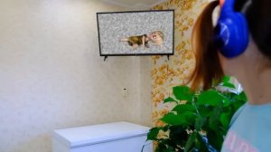 Страшная кукла - страшилка от Даши Юрьевны