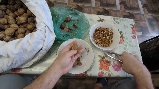 Наш деликатес из грецких орехов(27.03.2022) смотреть онлайн