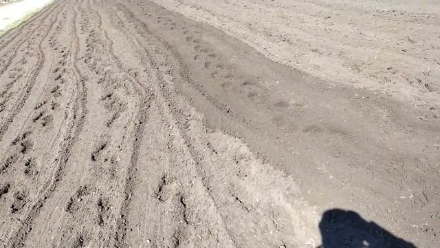 13 апреля! Садим картошку по новому, в гребни! Что то наверное перенял у голландцев... смотреть онлайн