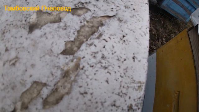 Пасека 27 ноября - субботник на пасеке смотреть онлайн