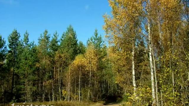 Осень - Autumn -tango- смотреть онлайн