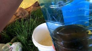 Ловля ТОЛСТОЛОБА на резинку. Приготовление Генеральской яичницы.