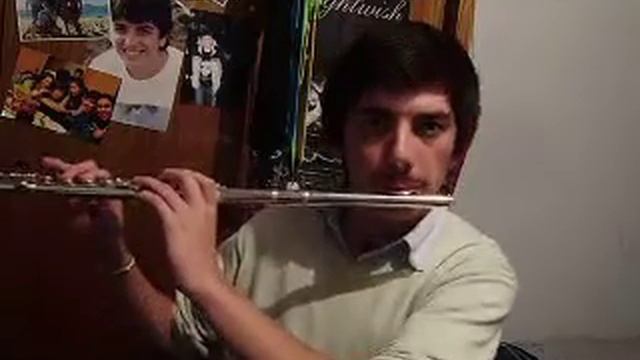 Bring me to Life - Evanescence (The best Travers Flute version Ever) смотреть онлайн