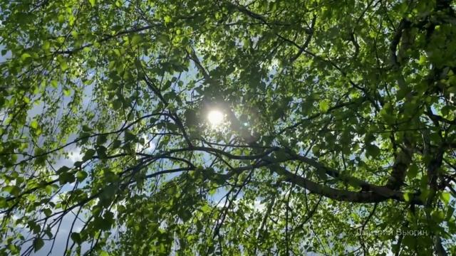 Рождённая для счастья. Истории любви смотреть онлайн