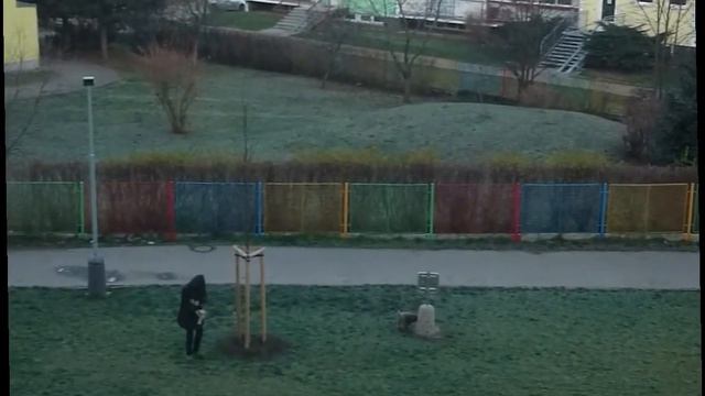 Как в Праге убирают какашки за своей собакой смотреть онлайн