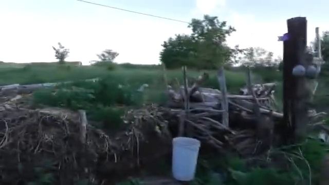 Один день из жизни Потеряевки. Пашня кормит. 27. 06. 2020 смотреть онлайн