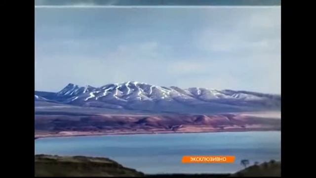 Крем Ширлайн регенерирующий