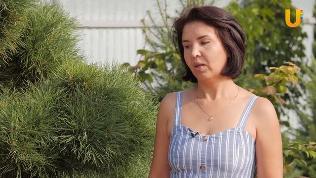 Идеи для стильного сада смотреть онлайн