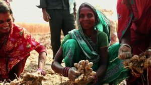 Turmeric / Behind the Bottle