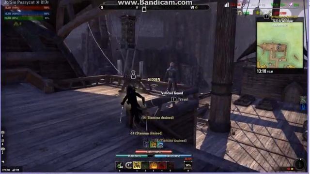 ESO JaxRogue's Jo'Sie Pussycat Little Things смотреть онлайн