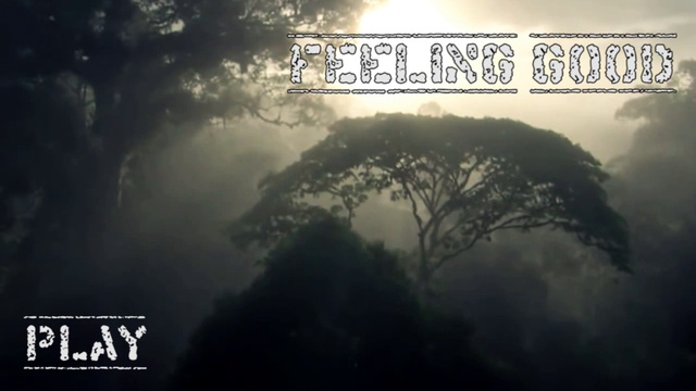 Music For Everyone - COMING SOON 