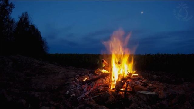 Ночной лес, костёр, гроза и мурчание кошки. Расслабляющее видео. Релакс! 90 мин смотреть онлайн