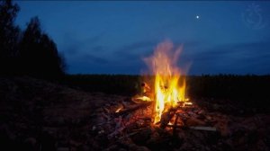 Ночной лес, костёр, гроза и мурчание кошки. Расслабляющее видео. Релакс! 90 мин