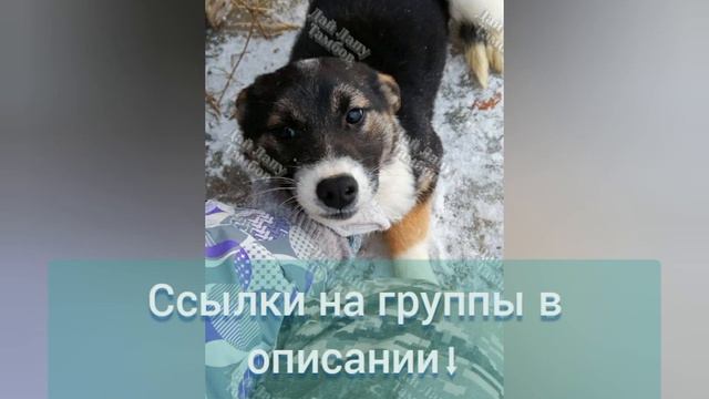 Всем доброго утра! Жилаю хорошего дня! смотреть онлайн