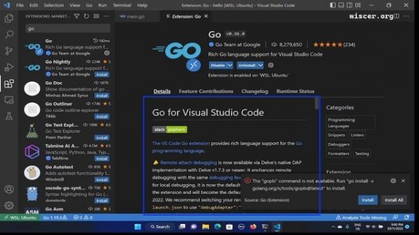 Install `Go` VSCode Remote Extension for Ubuntu WSL2