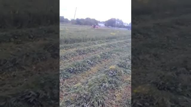 Сенокос 2020,первый выезд.Синтай 244 + роторная косилка КРН 1,35 в работе . смотреть онлайн