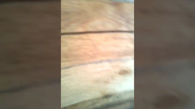 Показываю дачу смотреть онлайн