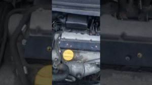 ОПЕЛЬ ЗАФИРА А 1.6 ГАЗ/БЕНЗИН.ТРОИТ И НЕ ТЯНЕТ!