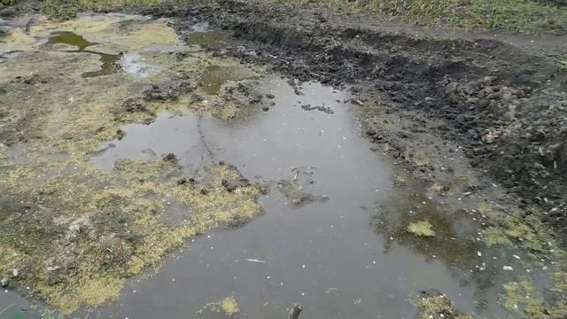 Копаем свой пруд в саду! Продолжаем углублять, расширять своё ОЗЕРО! смотреть онлайн