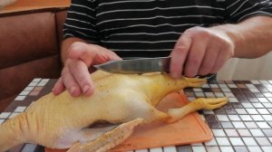 Как Быстро Ощипать Утку без Перосъемной Машинки/Ощип Птицы Вручную/Потрошим и Разделываем Индоутку