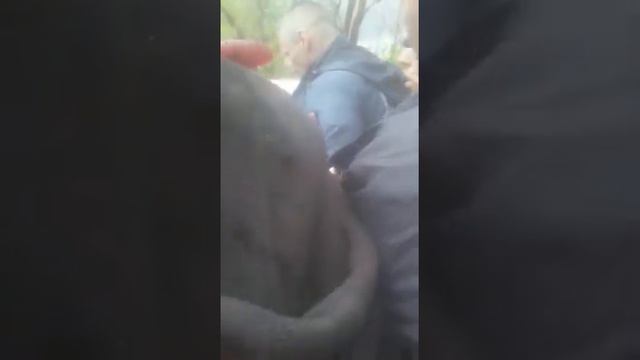 12 мая 2021 г. смотреть онлайн