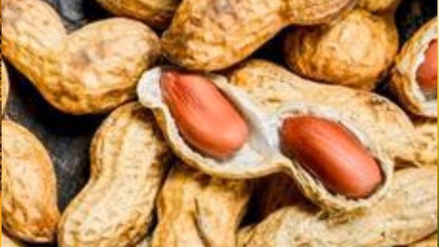 АРАХИС КОМУ ПОЛЕЗЕН И ЧЕМ ОПАСЕН ВЫ НЕ ЗНАЛИ ЭТОГО ПРО ОРЕХ АРАХИС