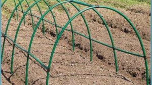 Парник для Огурцов