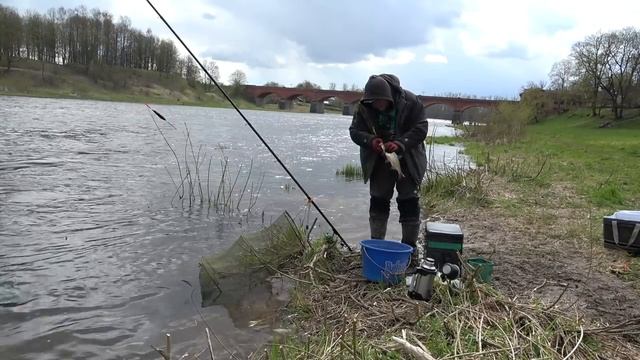 закрытие сезона вимбы\сырти, поплавок, большая вода и просто класная рыбалка для души, отчёт Но104 смотреть онлайн