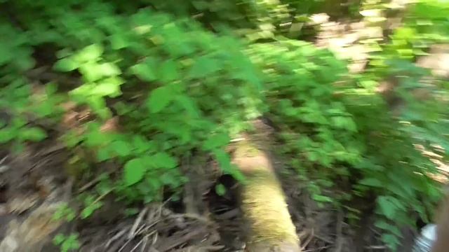 Где найти медь. Мастеркласс по сбору меди. Технический ручей. смотреть онлайн