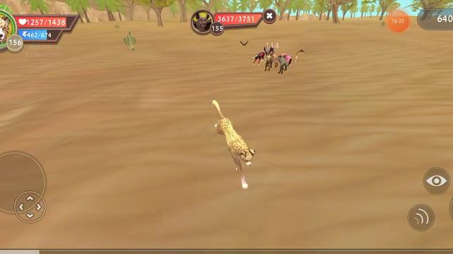 смотрим обновление в Вилд крафт смотреть онлайн