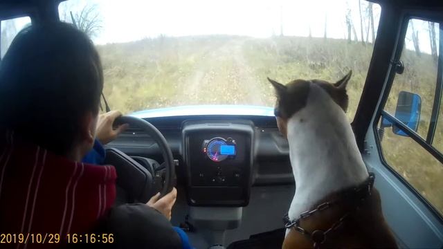 Квадрицикл 