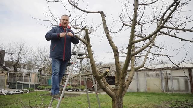 Строительные Повестки