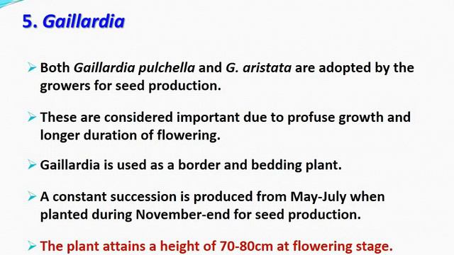 Seed Production of common Annual Flowers смотреть онлайн