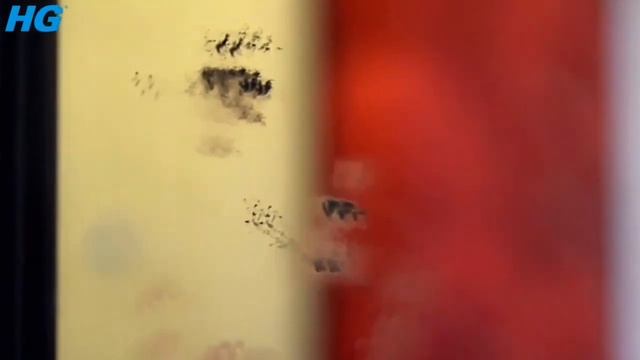 Чистота по-новому