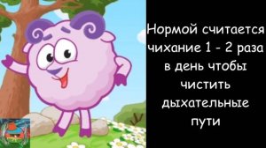 Почему мы чихаем ..