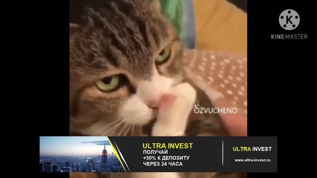 415 почему не отвечаете я база ответьте смотреть онлайн