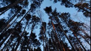 Снегоход за 100 тысяч в 2024 году без ПСМ. Снегоход Рыбинка 4.