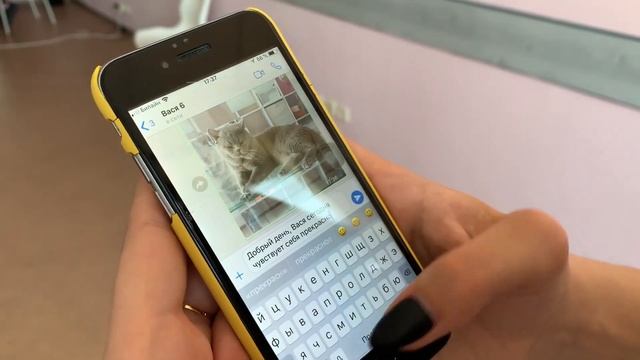 Заселение в нашу зоогостиницу BookingCat