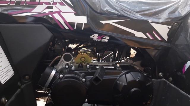 Обзор квадроцикла Comman SharkX 200cc / Wild trackX 200 смотреть онлайн