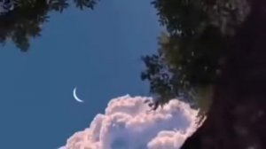 Омар Хишам Рукия