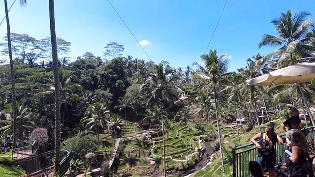 Гуляем по рисовым террасам Tegallalang. Очищаемся в храме Tirta Empul смотреть онлайн