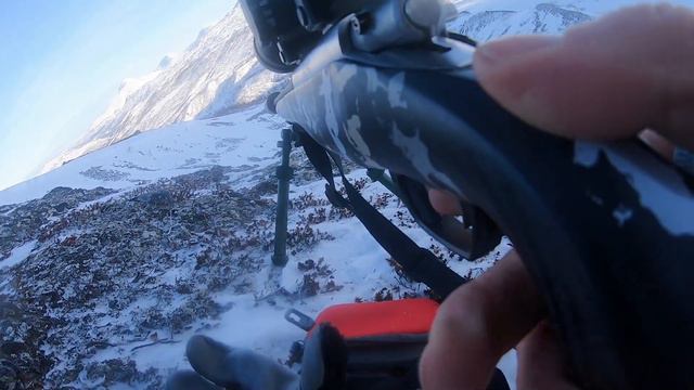 Longrange Blog 338: Rypejakt Med Rifle