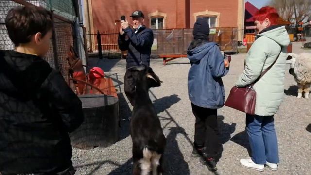 Страусиное Ранчо, город Барнаул 03.05.2021 смотреть онлайн