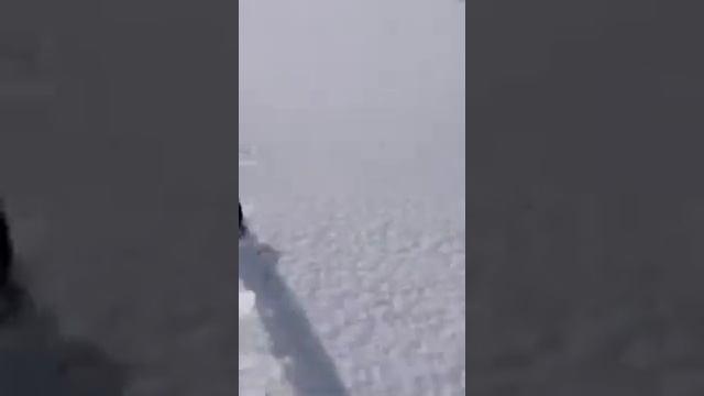 Кабан на поле, бежал за снегоходом смотреть онлайн