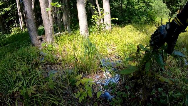 Нашли Случайно Останки Человека в Лесу смотреть онлайн