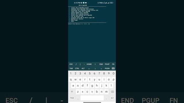 [Test] Installing SSH Websocket on NAT VPS / ipv6 vps смотреть онлайн
