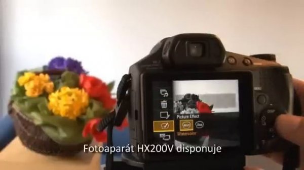 Sony CyberShot DSC-HX200