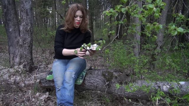 Как приготовить куриные крылышки с морковью и луком / На костре в лесу смотреть онлайн